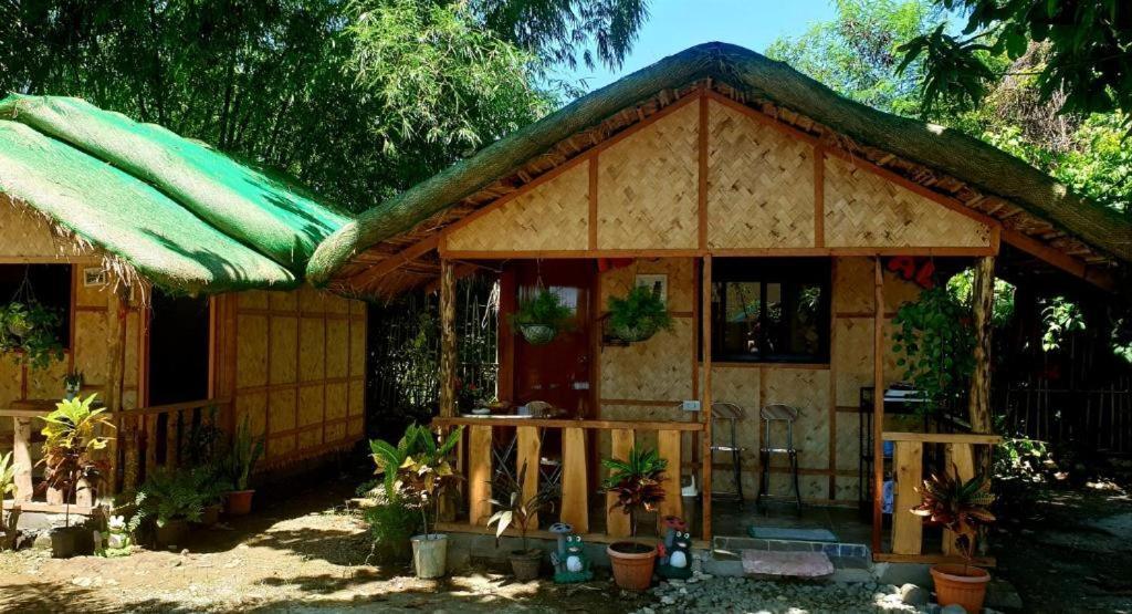 Traditional Filipino Transient House And Huts Near 100 Islands Wharf Alaminos Bagian luar foto